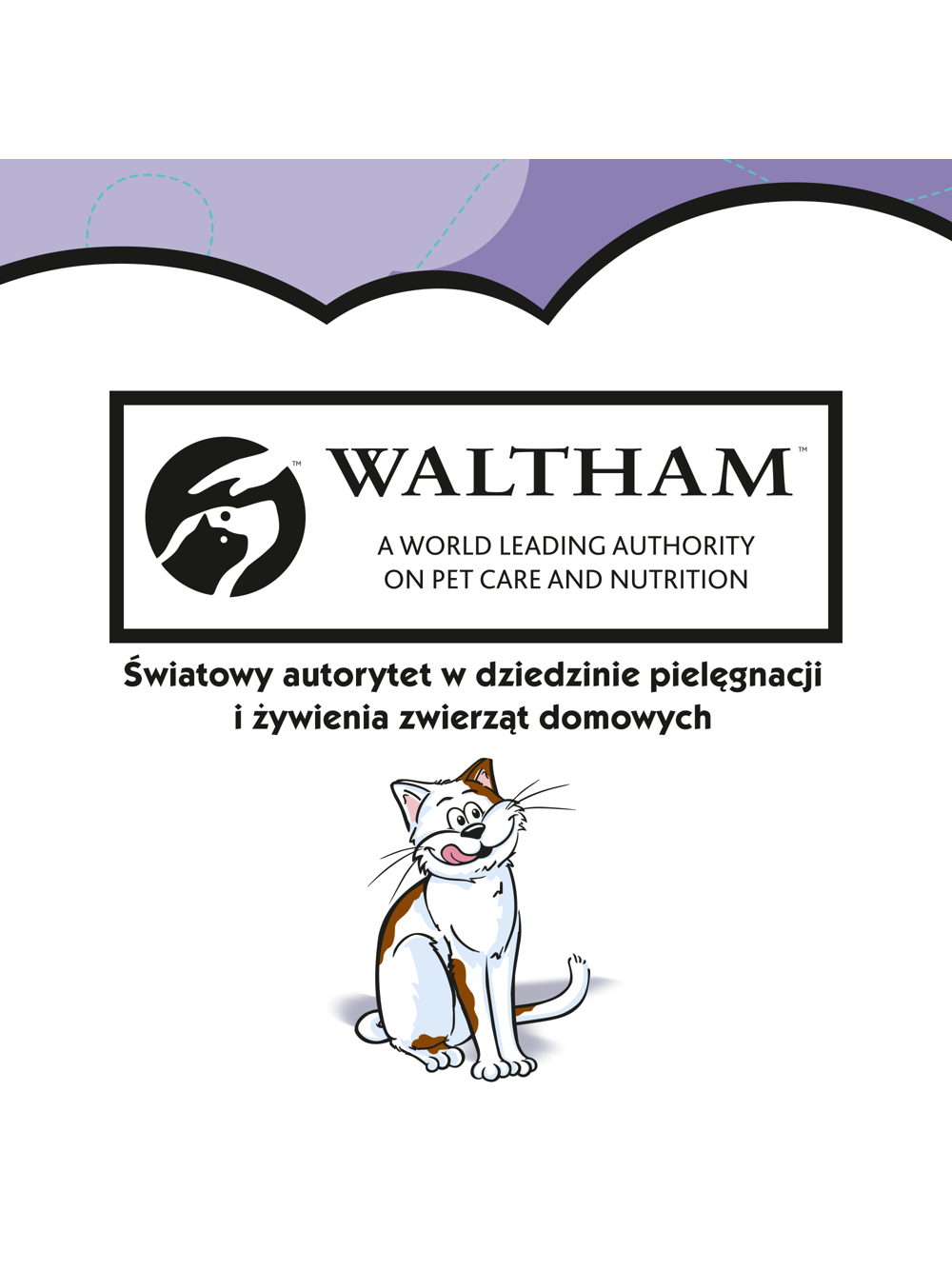 DREAMIES 6x60g - przysmak dla kota z wyśmienitą kaczką