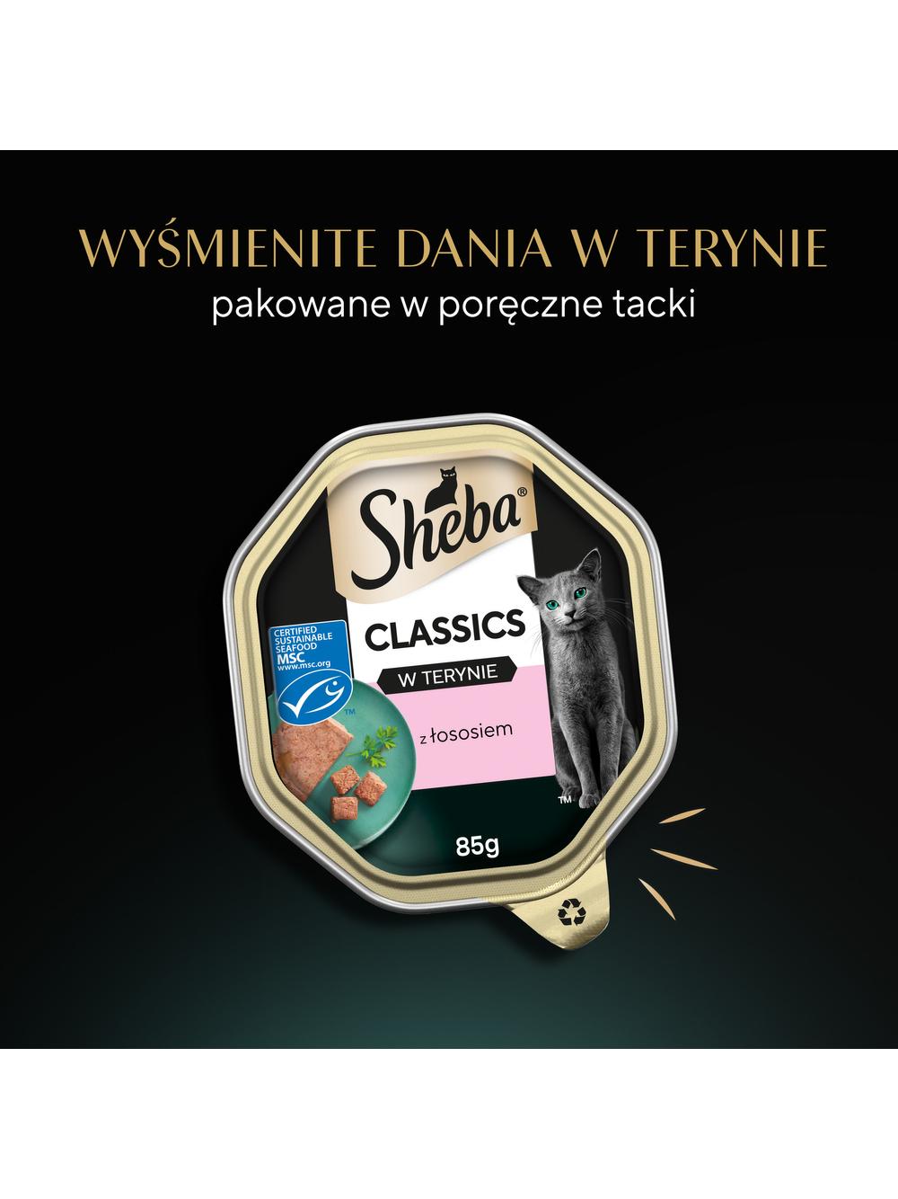 SHEBA Classics tacka 22x85 g – mokra karma pełnoporcjowa dla dorosłych kotów, z łososiem, w terynie