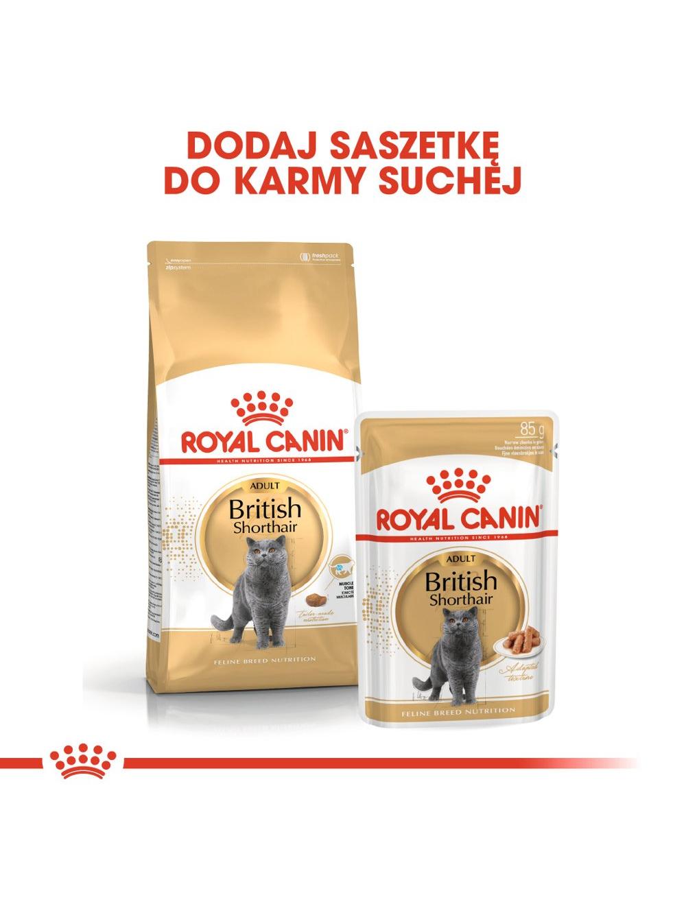 ROYAL CANIN British Shorthair 10kg karma sucha dla kotów dorosłych rasy brytyjski krótkowłosy + Piłka dla kota GRATIS!