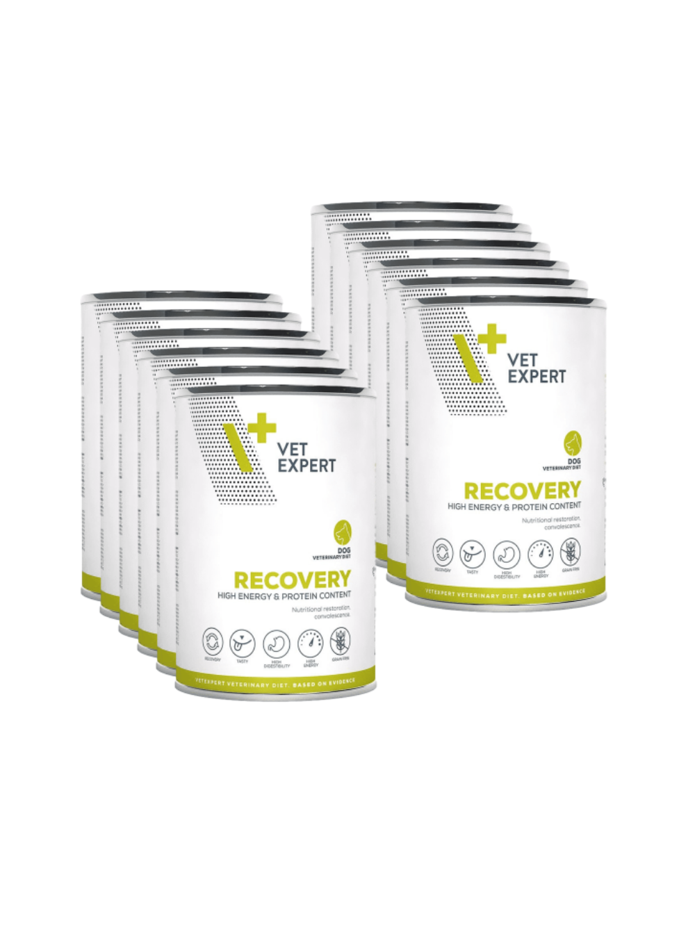 VETEXPERT Dog Diet Recovery 12x400g