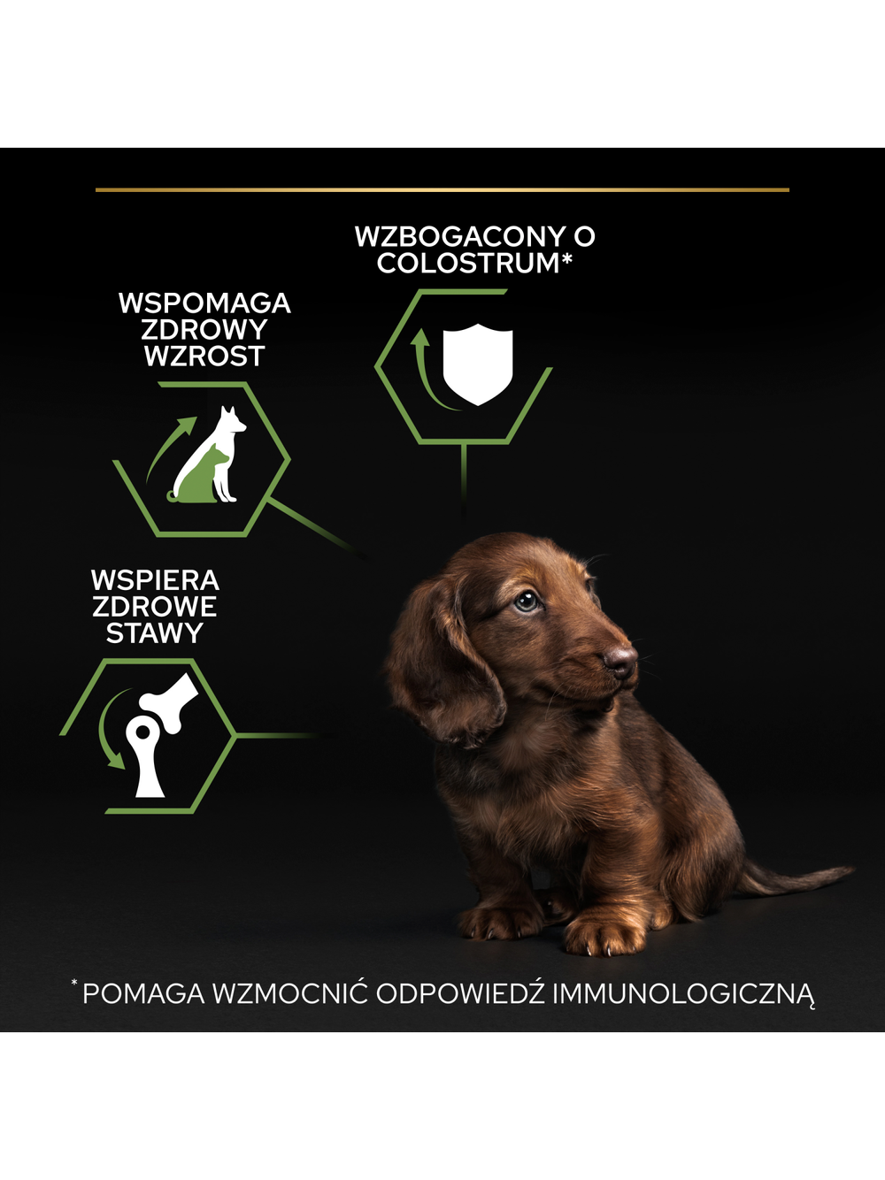 PRO PLAN Healthy Start Small & Mini Puppy Karma dla szczeniąt bogata w kurczaka 7kg / Opakowanie uszkodzone (2566,8962) !!!