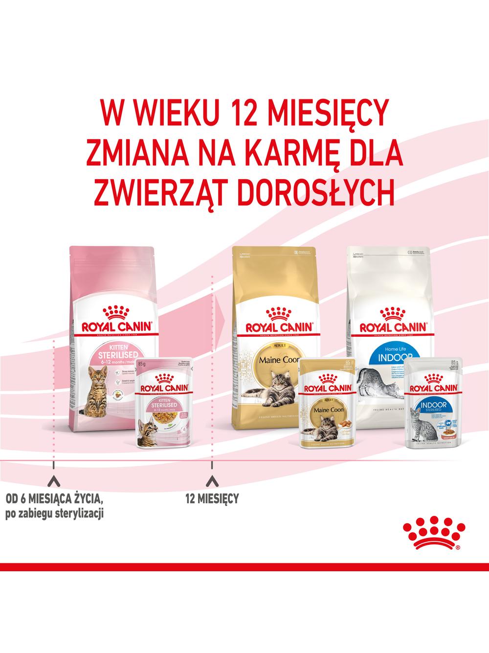 ROYAL CANIN Kitten Sterilised 12x85g karma mokra w galaretce dla kociąt do 12 miesiąca życia, sterylizowanych