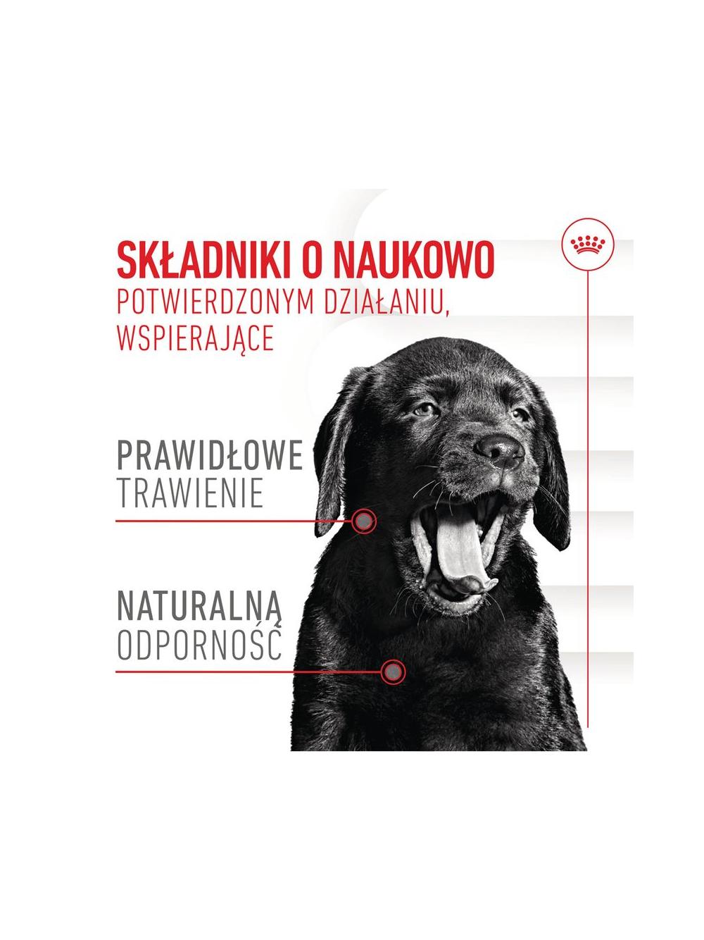 Royal Canin Puppy Immunity & Digestion Chews 100g