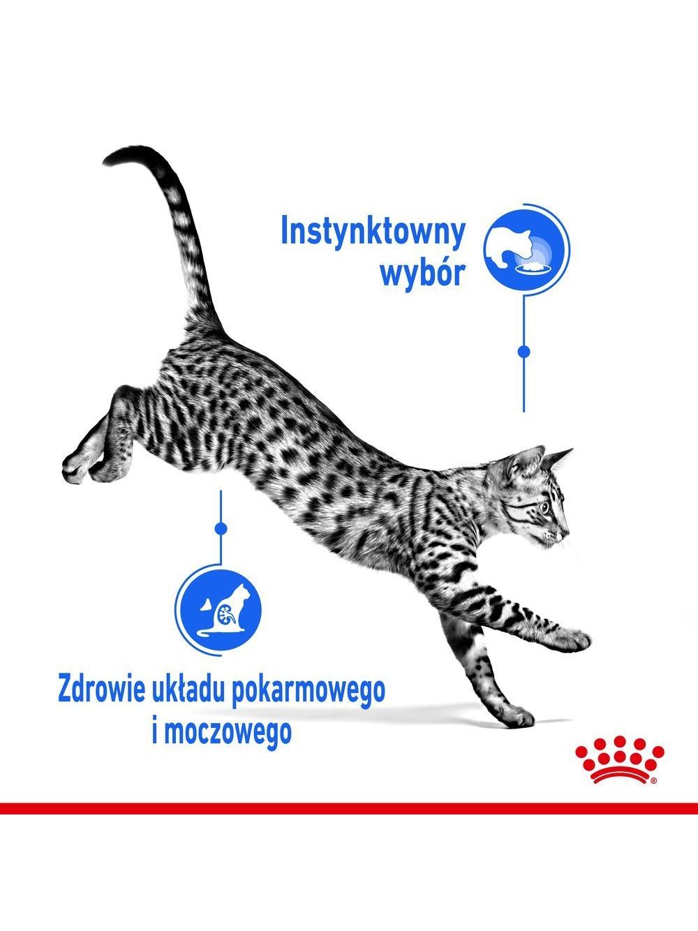 ROYAL CANIN  Indoor  Sterilised Jelly saszetka 12x85g