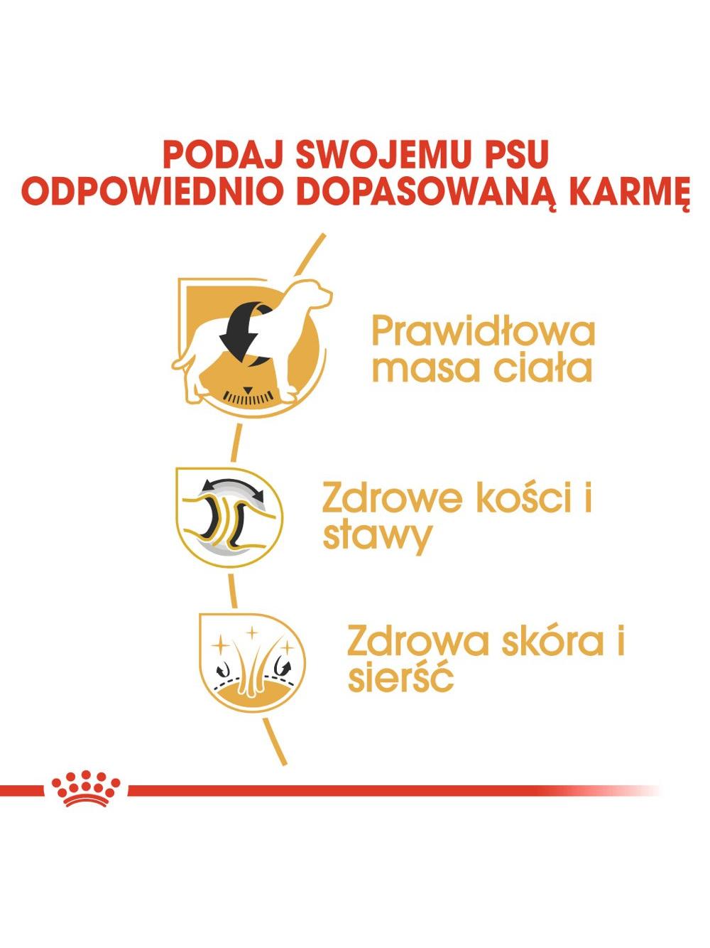 ROYAL CANIN® Labrador Retriever Adult 11,5 kg karma sucha dla psów dorosłych do 5. roku życia, rasy labrador retriever / Opakowanie uszkodzone (5766)!!!
