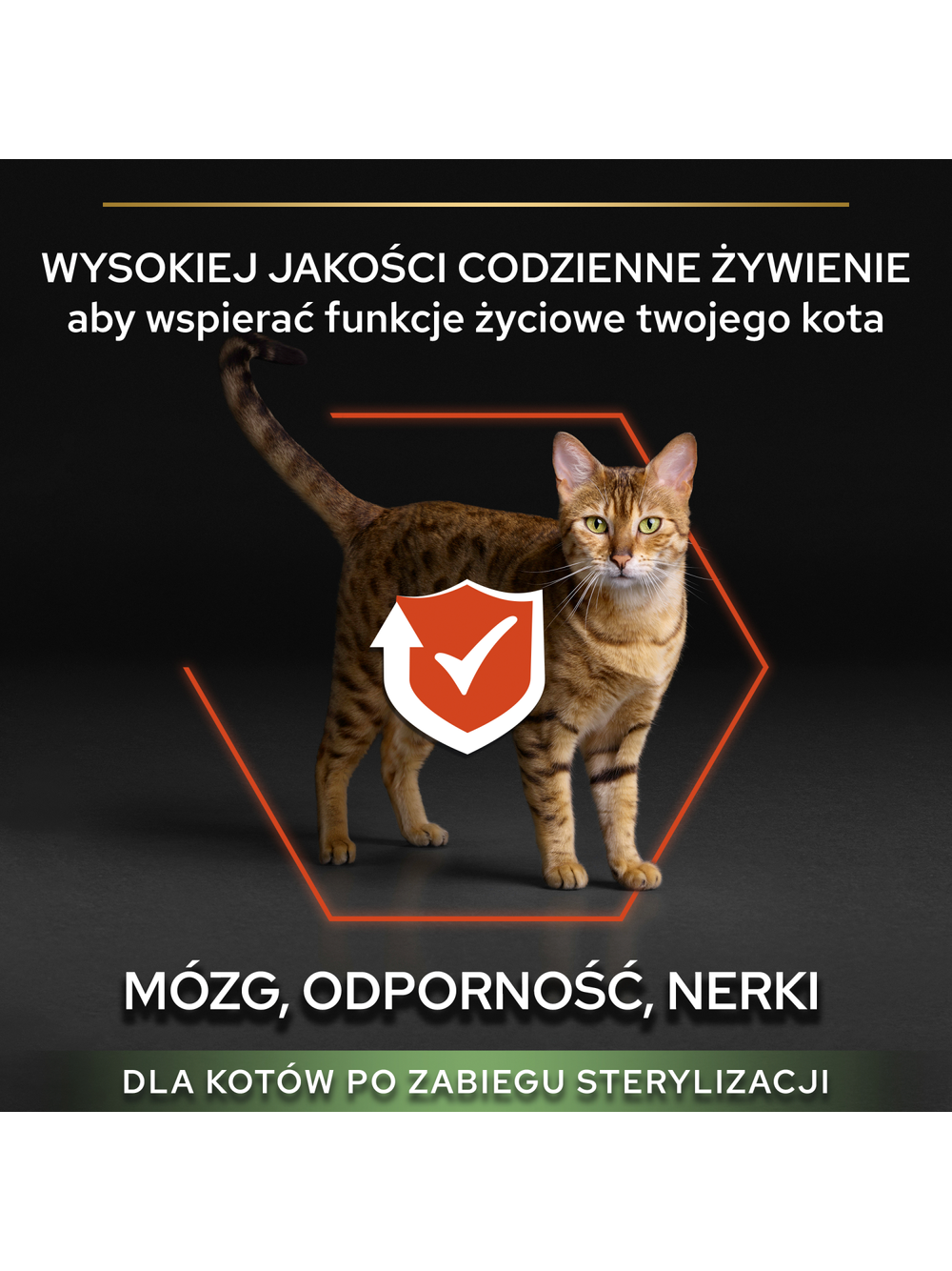 PRO PLAN Sterilised Vital Functions Karma dla kotów bogata w łososia 10kg/Opakowanie uszkodzone (9107,9366) !!!