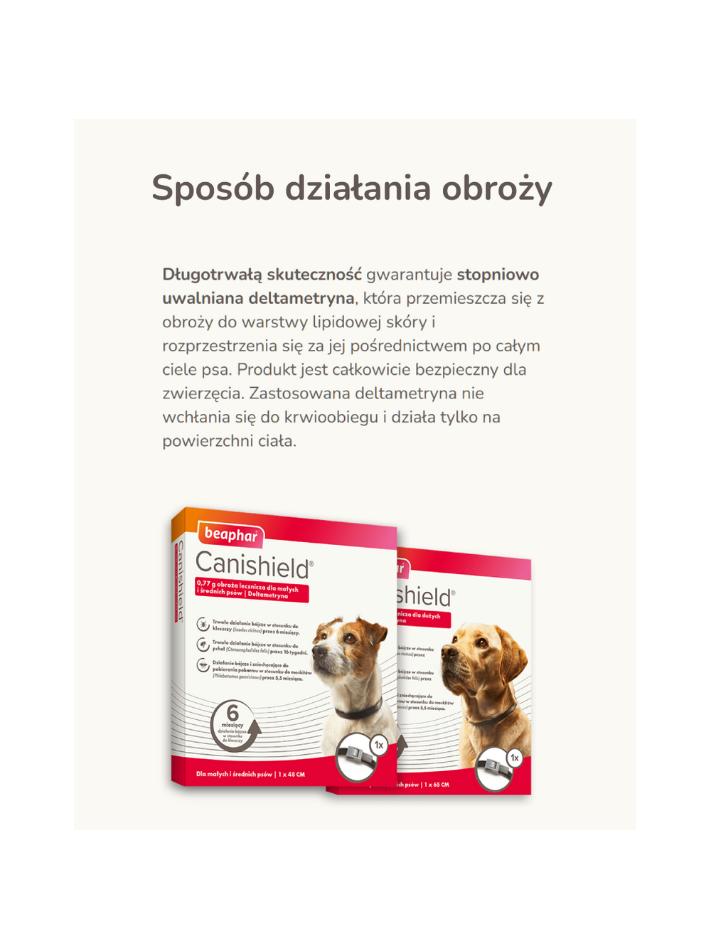 BEAPHAR -Canishield obroża L dla psa 65 cm