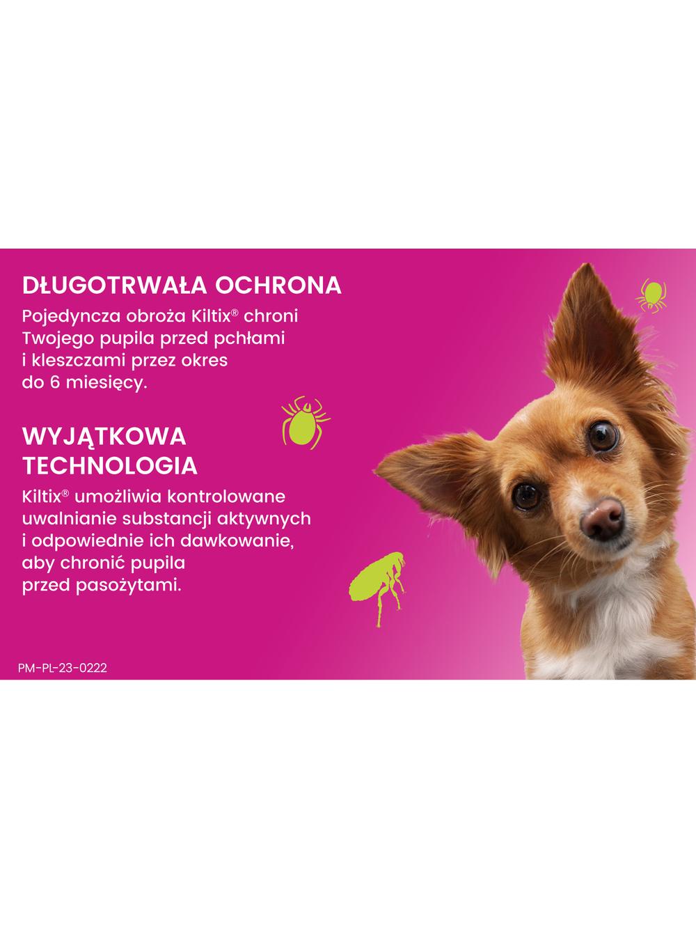 Kiltix Obroża dla małych psów 38 cm+ Cestal Dog Plus tabletki na odrobaczanie psów 2 sztuki
