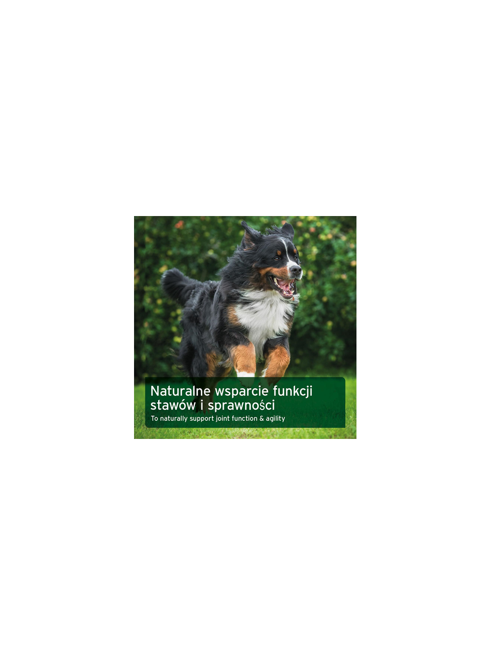 AniForte Formuła stawowa VET - suplementy dla psa - 120 tabletek