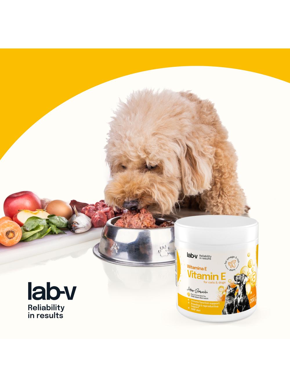Lab-v Witamina E – naturalna ochrona antyoksydacyjna komórek 200 g
