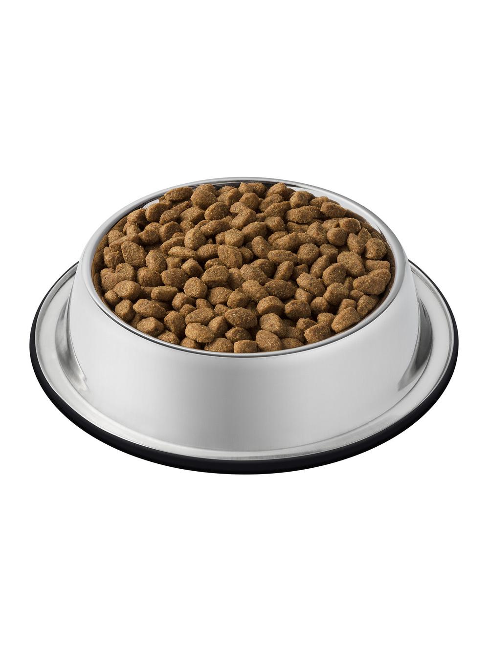 PURINA Cat Chow Sterilised Karma bogata w kurczaka 1,5kg