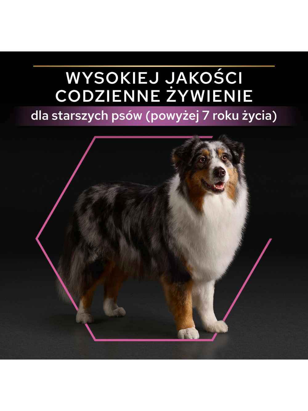 PRO PLAN Age Defence Adult Karma dla psów bogata w kurczaka 14kg