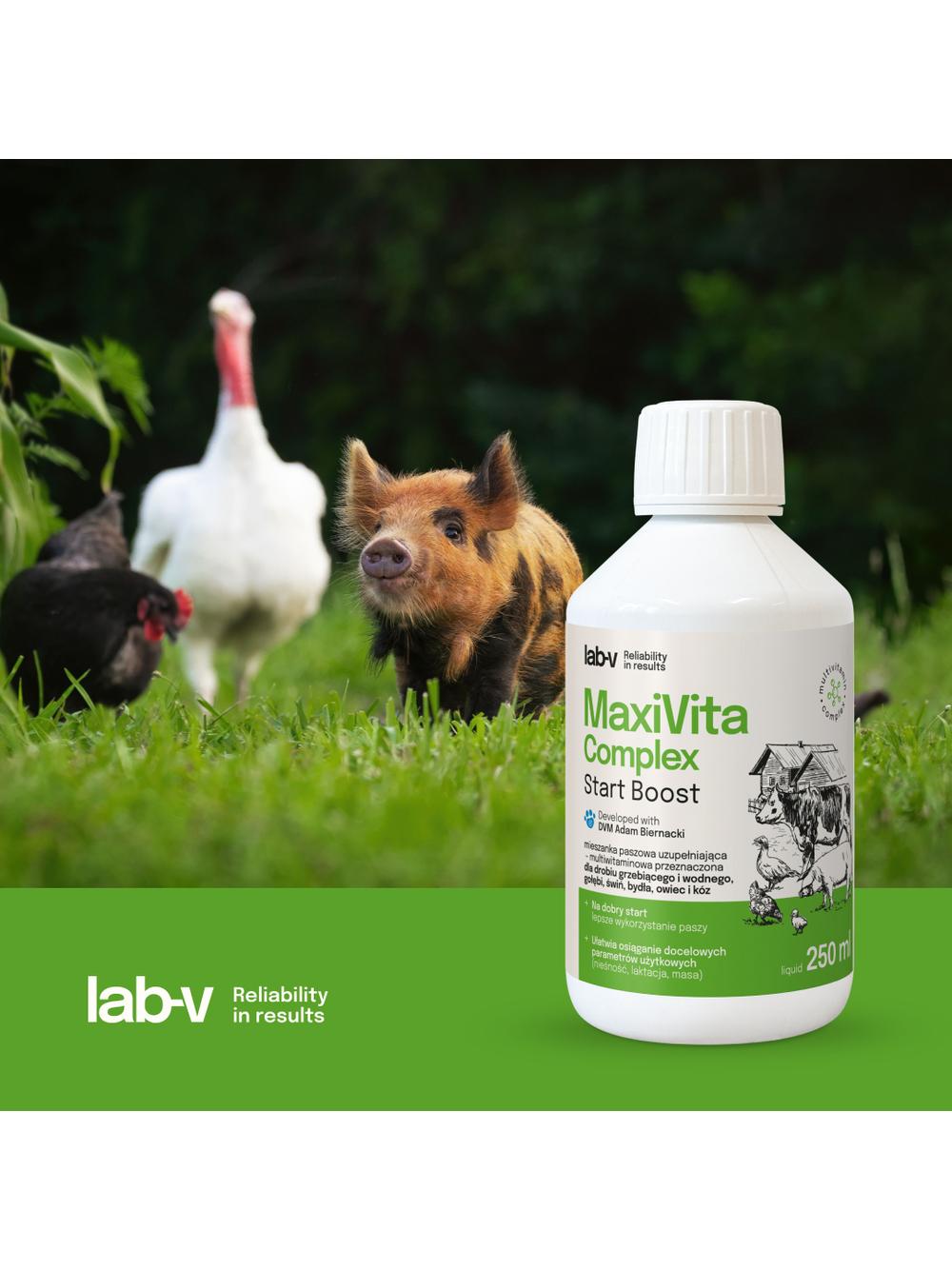 Lab-v MaxiVita Complex - mieszanka paszowa uzupełniająca – multiwitaminowa, w formie płynnej, przeznaczona dla drobiu grzebiącego, drobiu wodnego, gołębi, świń, bydła, owiec i kóz 1000 ml