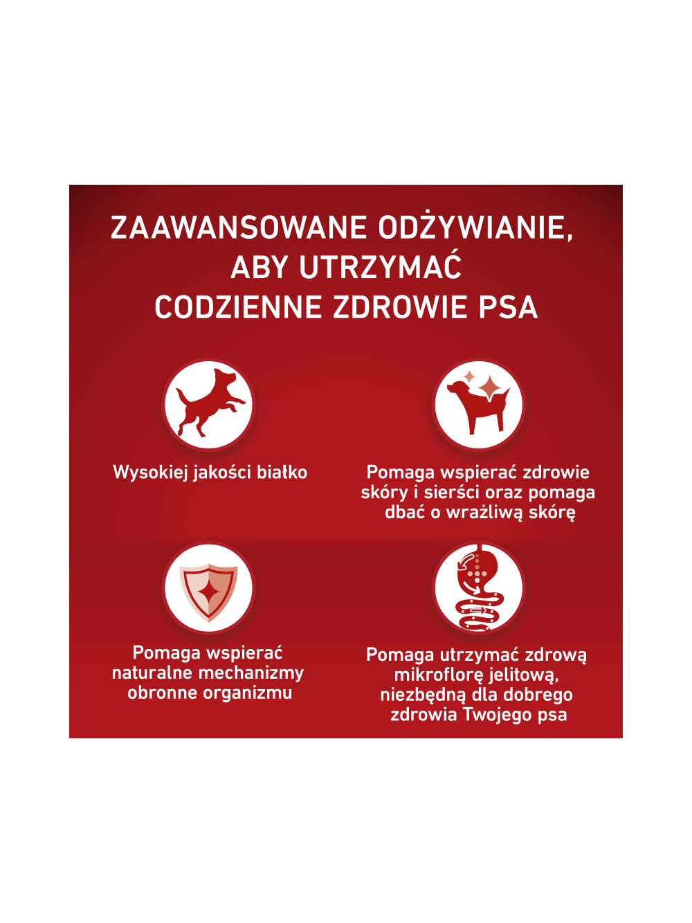 PURINA ONE Sensitive Medium/Maxi Karma dla dorosłych psów bogata w łososia z ryżem 4x2,5 kg