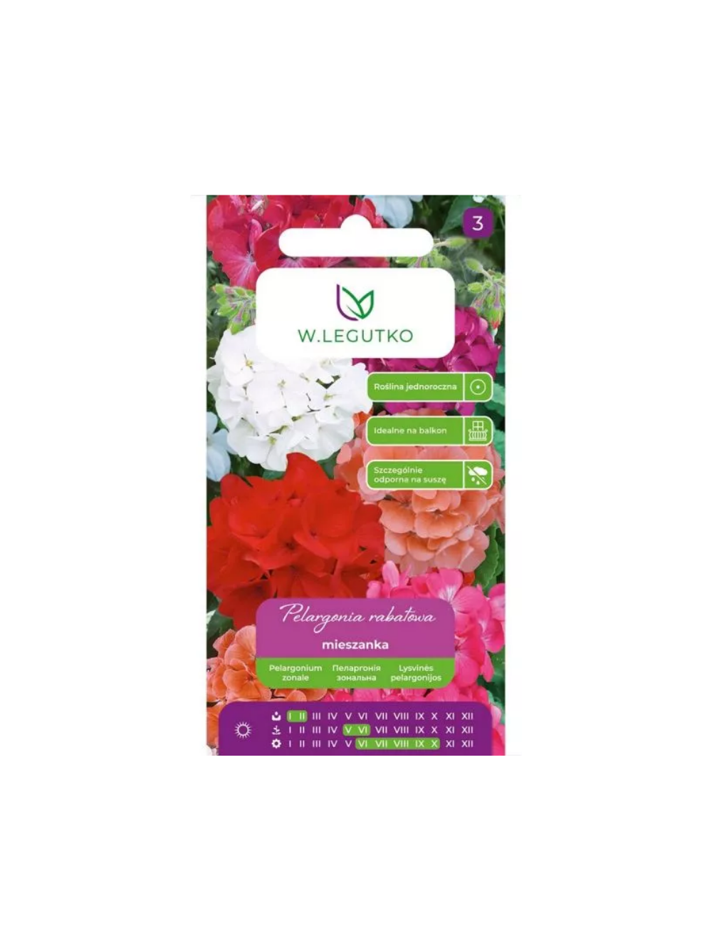 Pelargonia rabatowa F2 mieszanka
