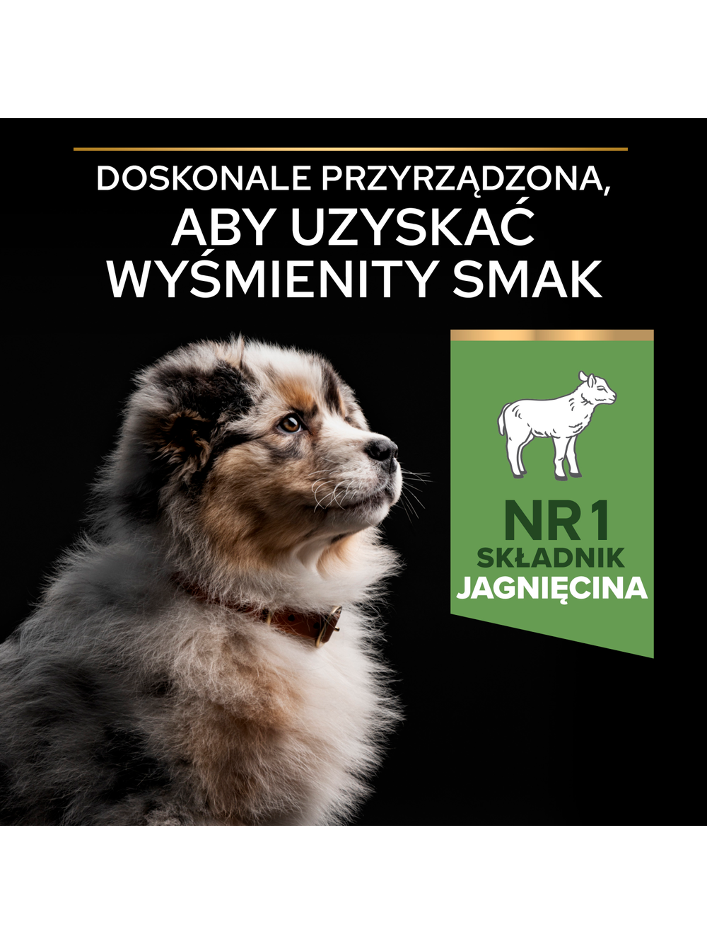 PRO PLAN Sensitive Digestion Puppy Karma dla szczeniąt bogata w jagnięcinę 12kg/Opakowanie uszkodzone (7904,9126)