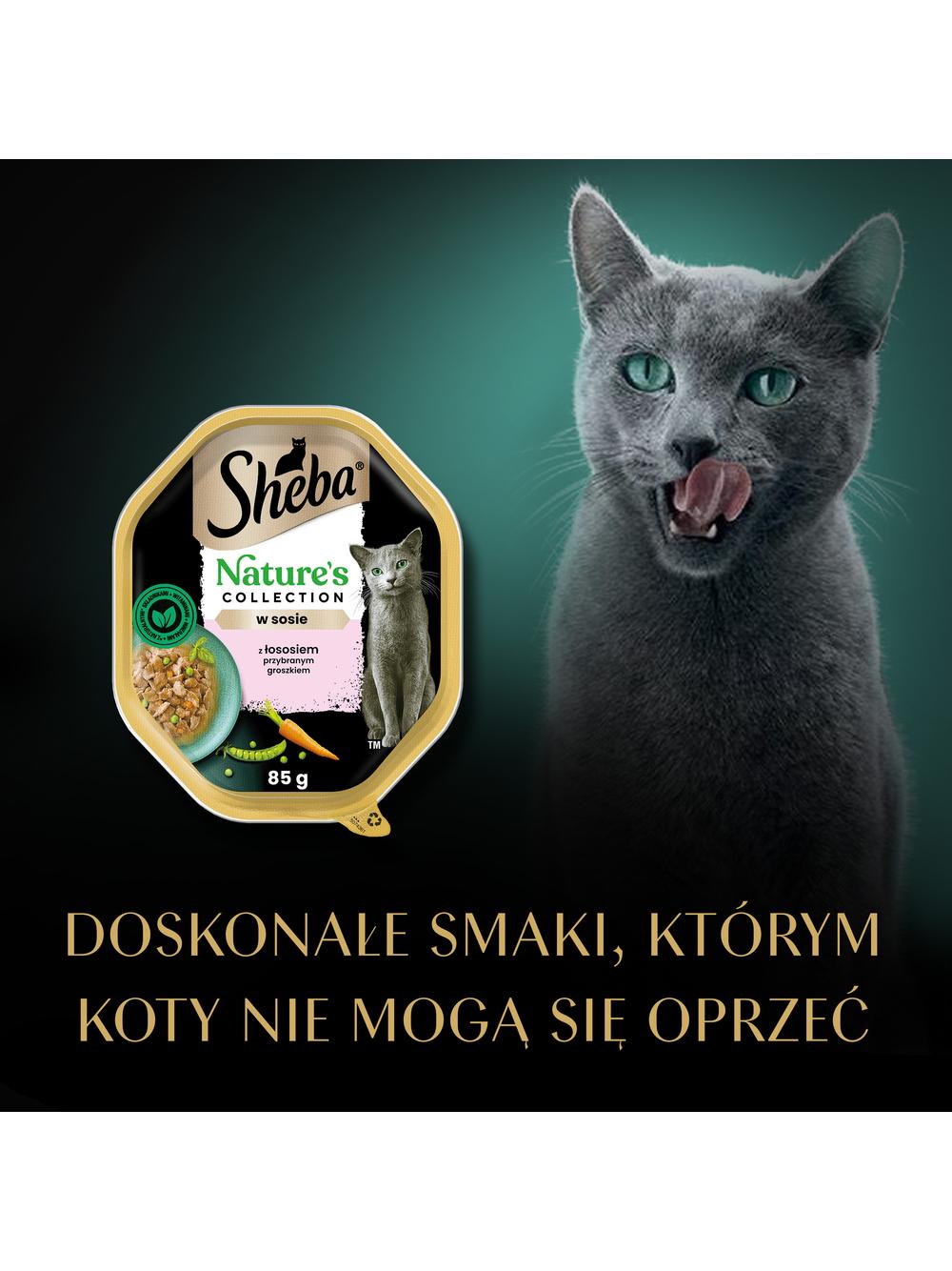 SHEBA Nature’s Collection tacka 85 g – mokra karma pełnoporcjowa dla dorosłych kotów, kawałki z łososiem przybranym groszkiem, w sosie