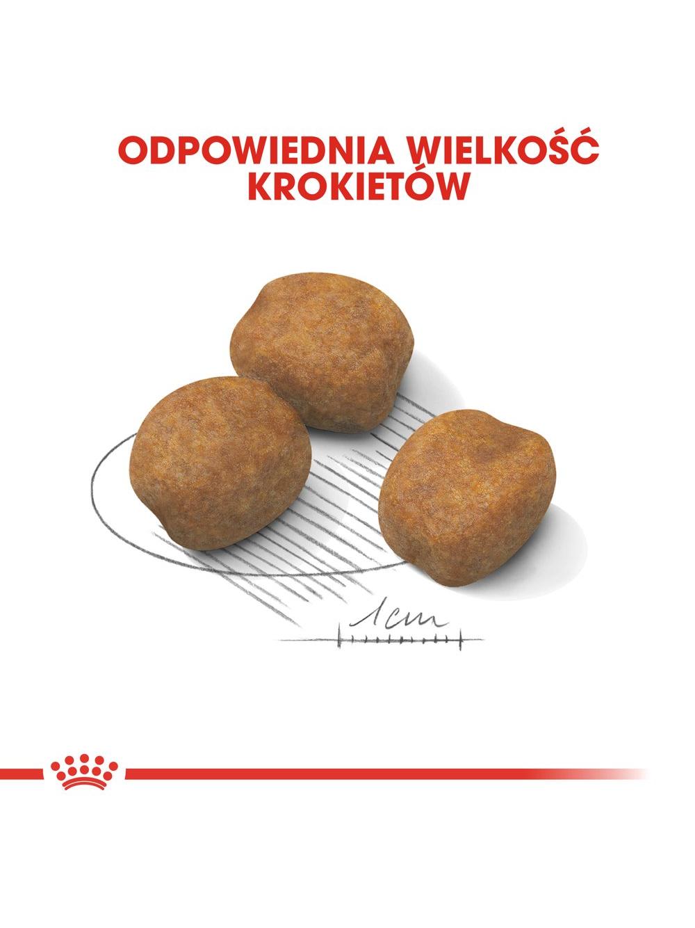 ROYAL CANIN Giant Puppy 15kg karma sucha dla szczeniąt, od 2 do 8 miesiąca życia, ras olbrzymich  + niespodzianka dla psa GRATIS!