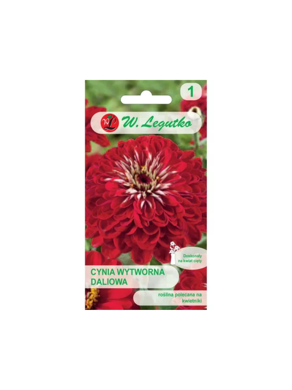Cynia wytworna daliowa Scarlet Flame - czerwona