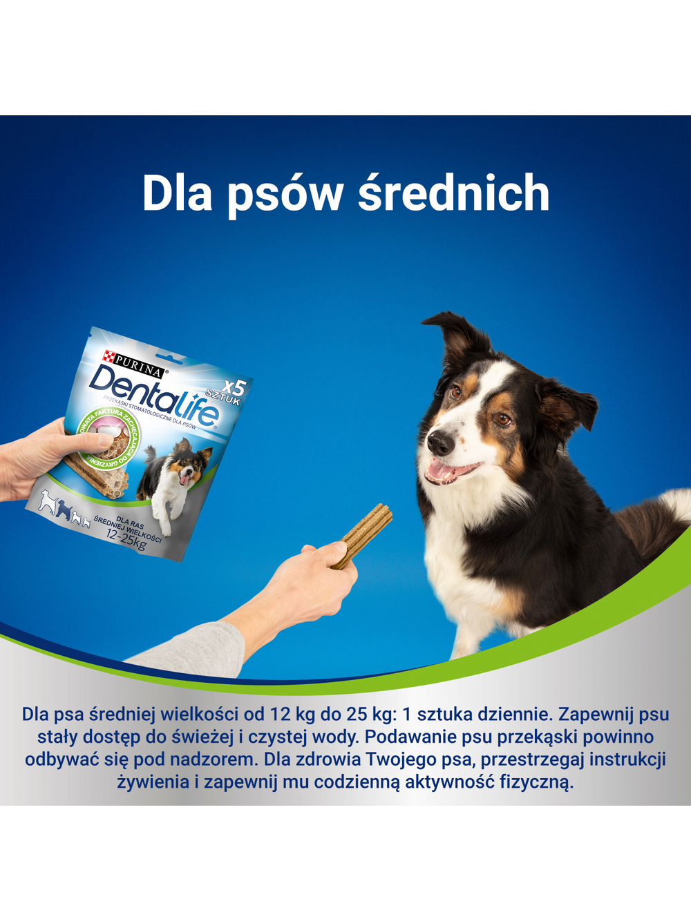 Purina Dentalife Medium 115g