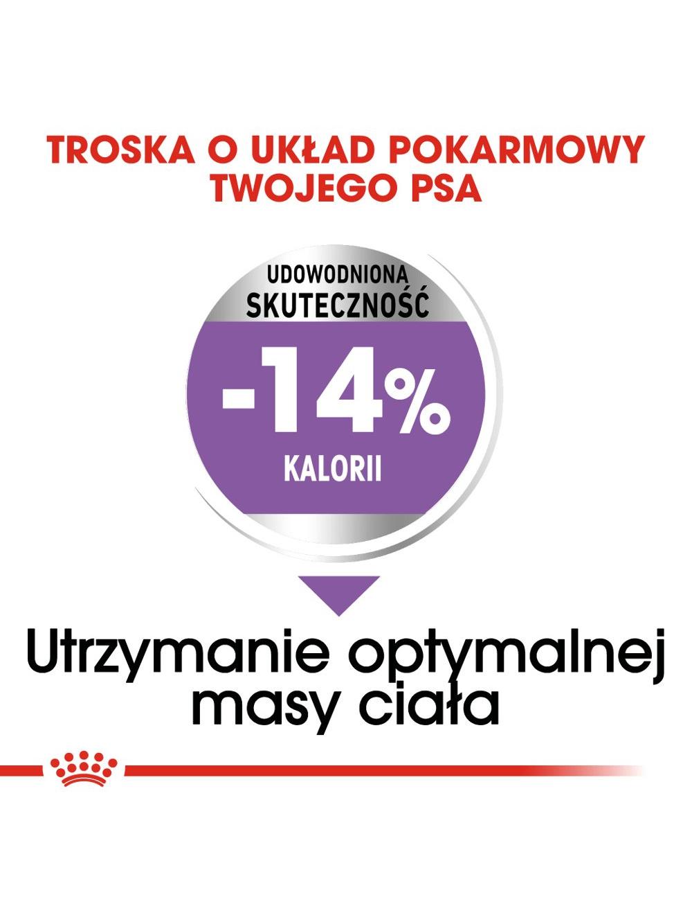 ROYAL CANIN CCN Mini Sterilised 3kg karma sucha dla psów dorosłych, ras małych, sterylizowanych /Opakowanie uszkodzone (7786,7782) !!!
