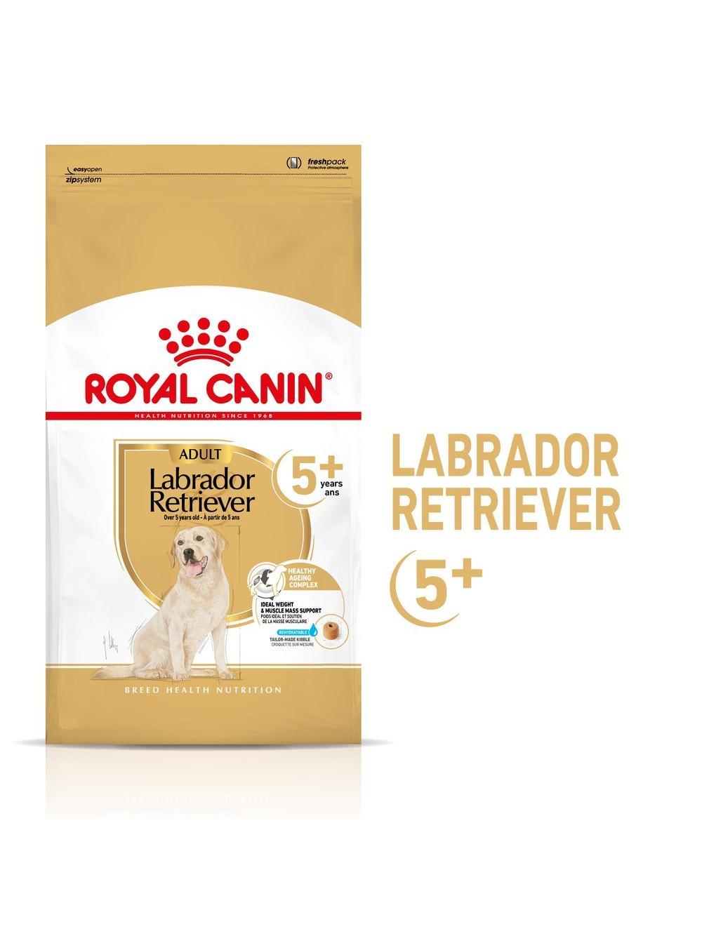 ROYAL CANIN Labrador Retriever Adult 5+ 12kg karma sucha dla psów dorosłych rasy Labrador Retriever, powyżej 5 roku życia
