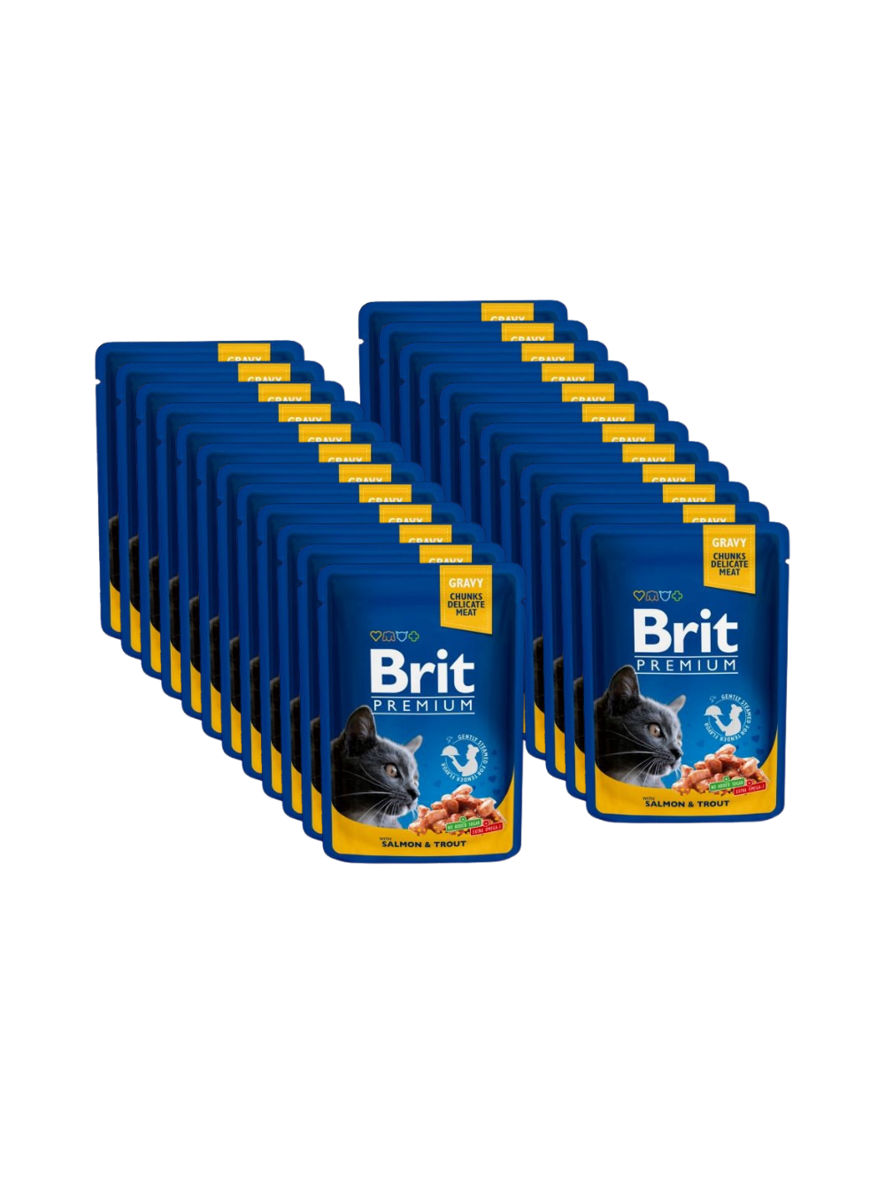 BRIT Cat ŁOSOŚ i PSTRĄG 24x100g