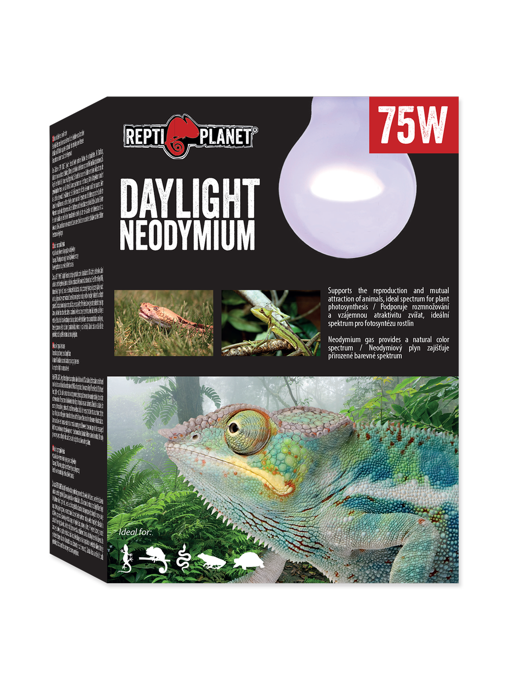 RP Żarówka  Daylight Neodymium 75W