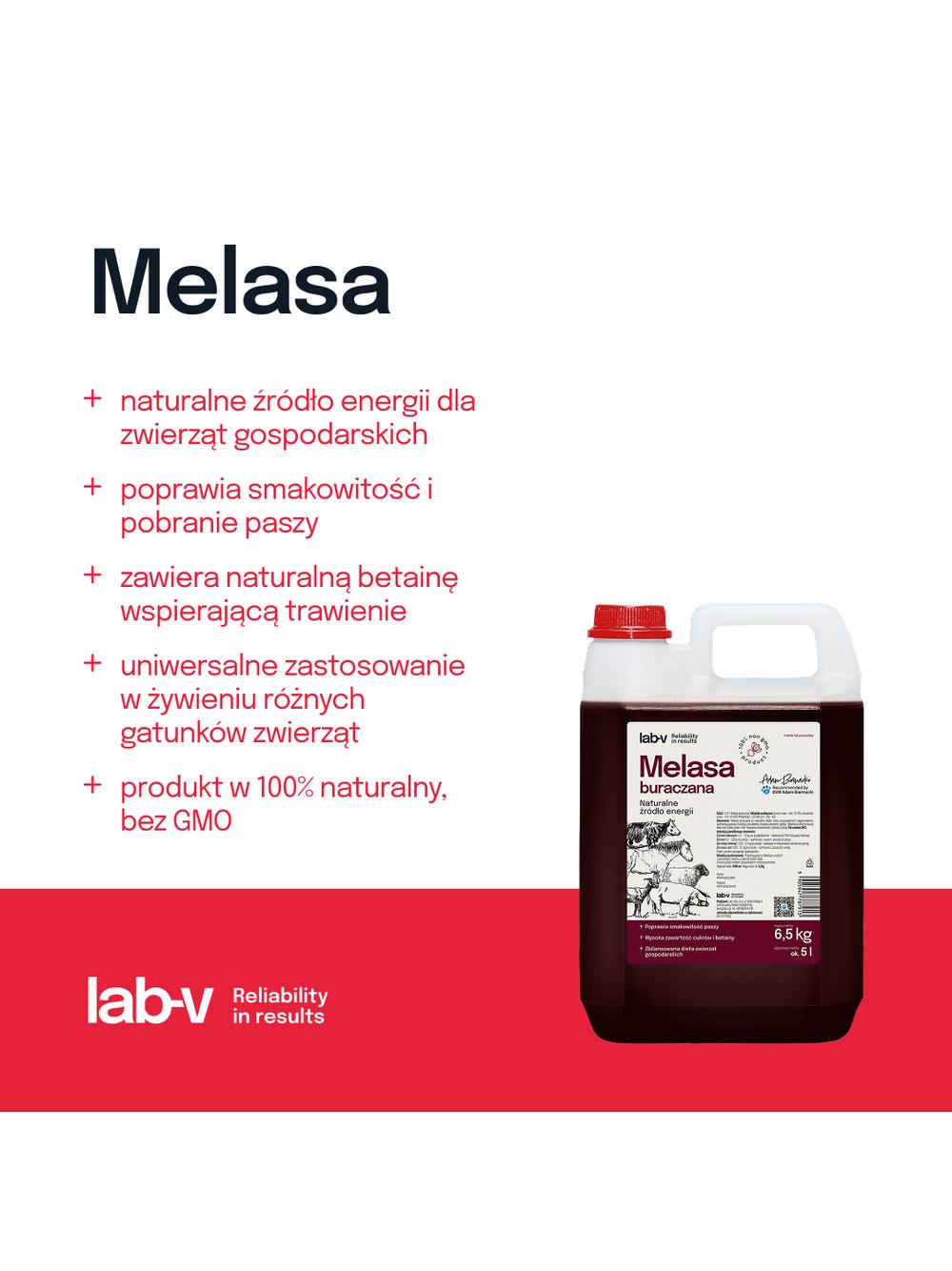 Melasa Buraczana 5L