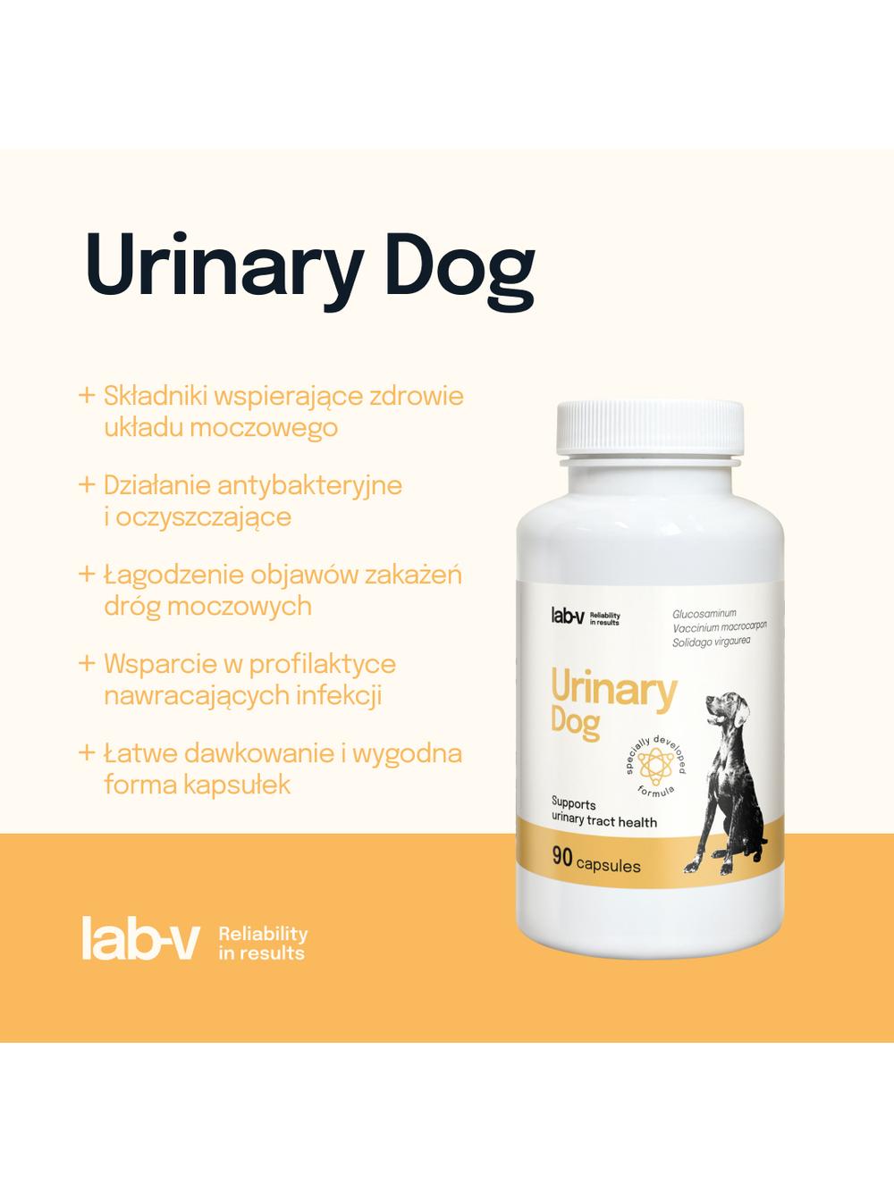Lab-v Urinary Dog – Wsparcie przy zakażeniu dróg moczowych u psów 90 kapsułek