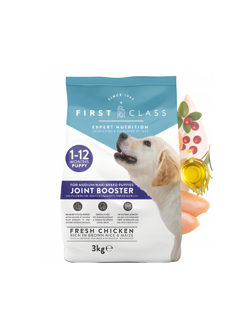 First Class Premium Sucha karma dla szczeniąt Ochrona Stawów 3kg