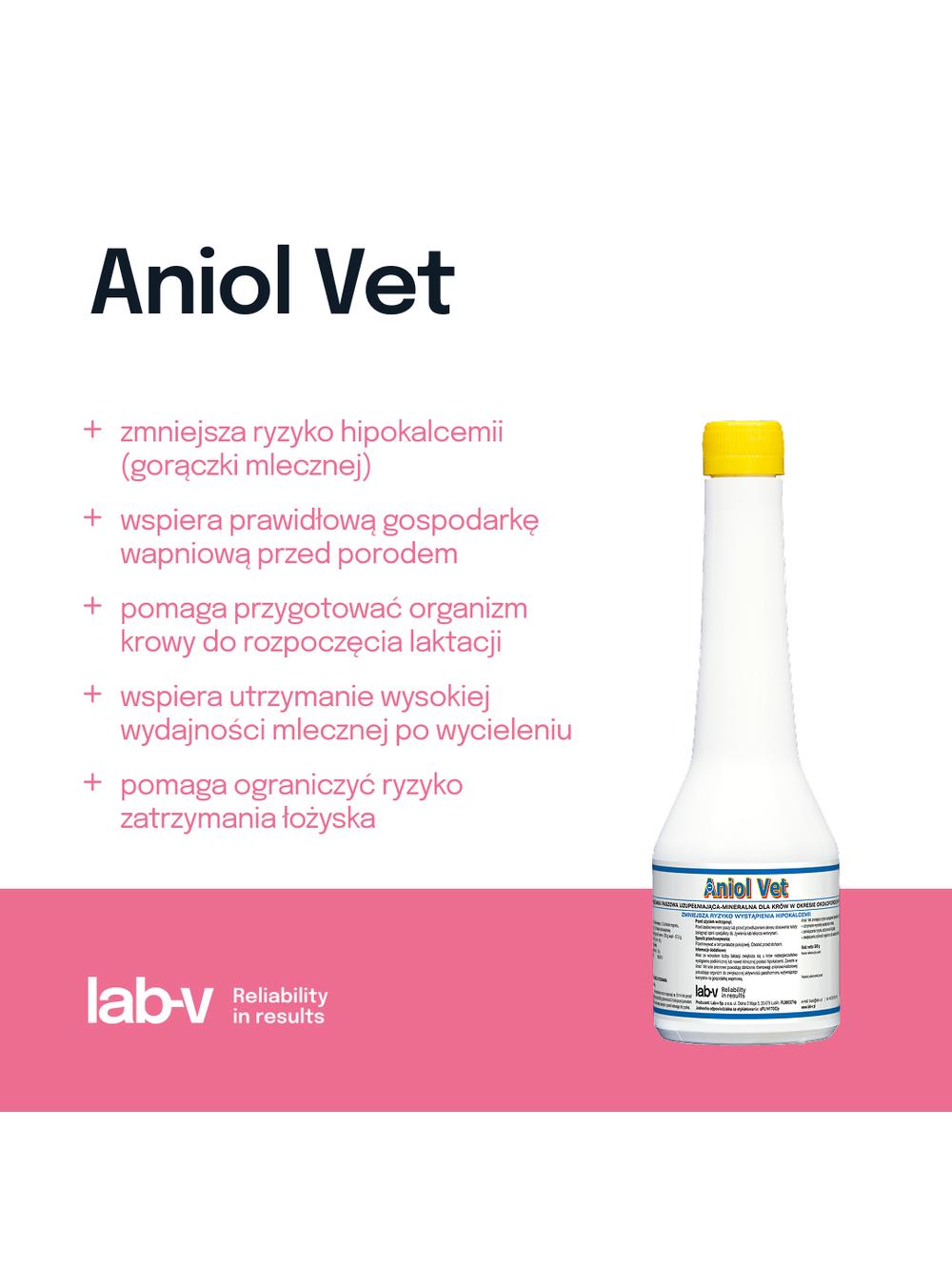 Lab-v Aniol Vet - Mieszanka Paszowa Uzupełniająca Mineralna Dla Krów W Okresie Okołoporodowym Zmniejsza Ryzyko Wystąpienia Hipokalcemii 500g