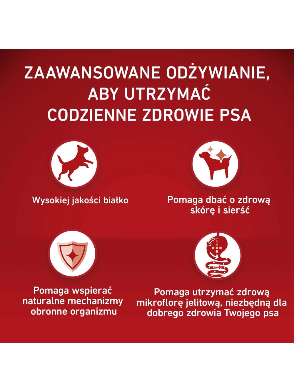 PURINA ONE Adult Medium/Maxi Karma dla dorosłych psów bogata w wołowinę z ryżem 12 kg