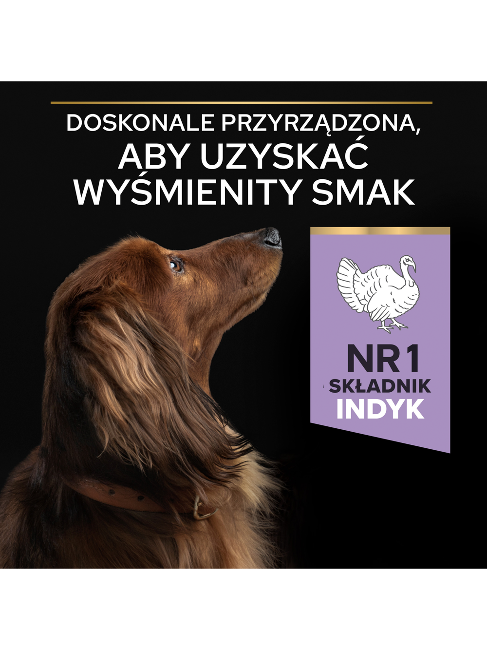 PRO PLAN Sensitive Digestion Small & Mini Adult Karma dla psów bogata w indyka 7 kg