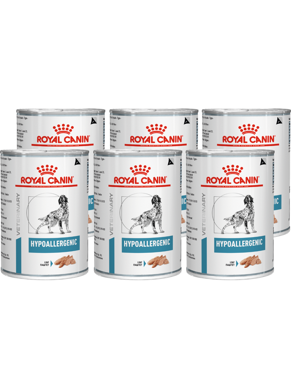 ROYAL CANIN Hypoallergenic DR21 6x400g
