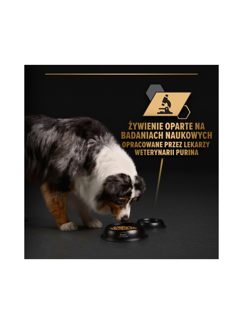 PRO PLAN Everyday Nutrition Adult Karma dla psów bogata w rybę w galaretce 400g + POKRYWKA GRATIS