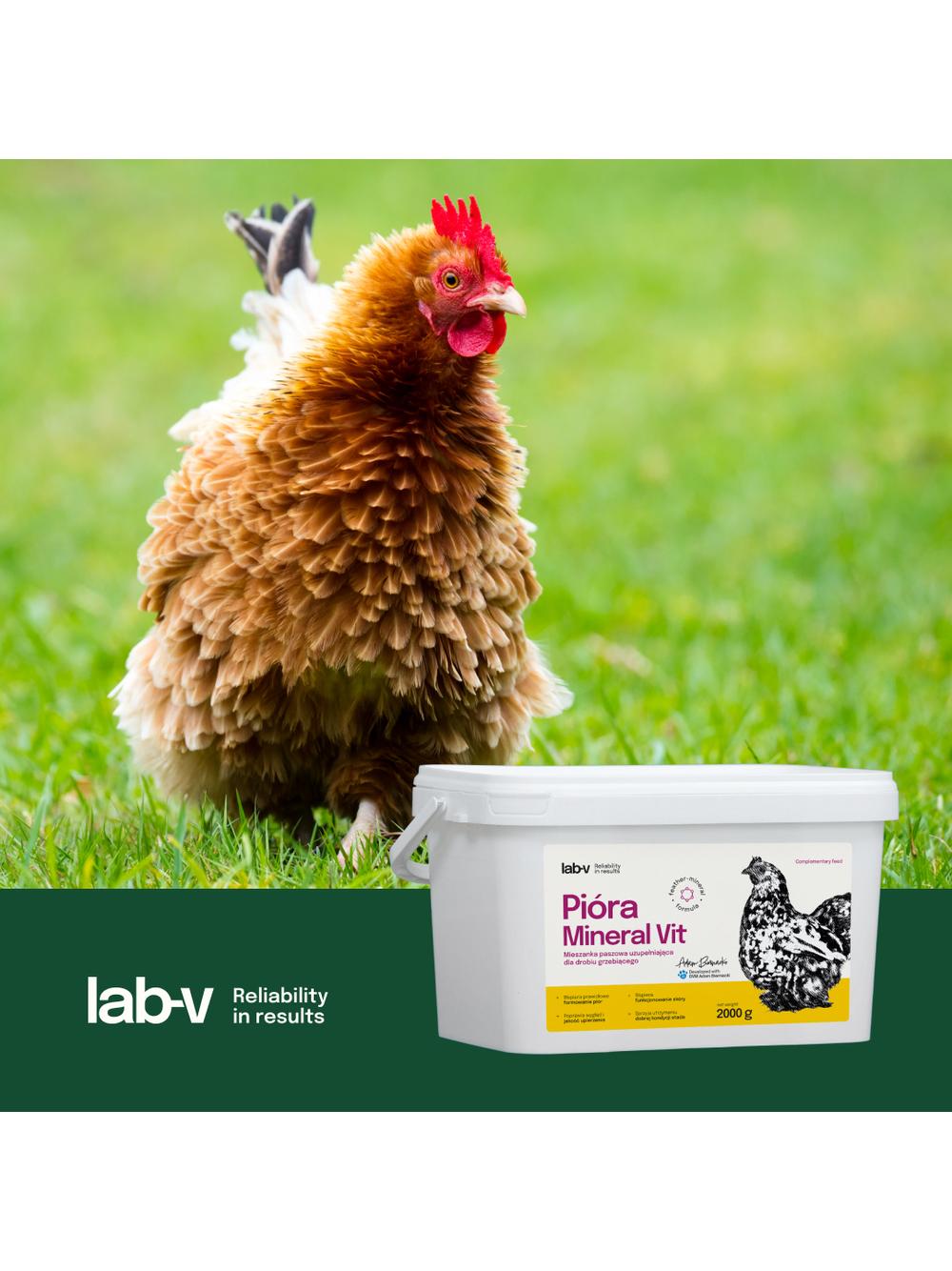 Lab-v Pióra Mineral Vit – wsparcie upierzenia i kondycji skóry drobiu grzebiącego 2000 g