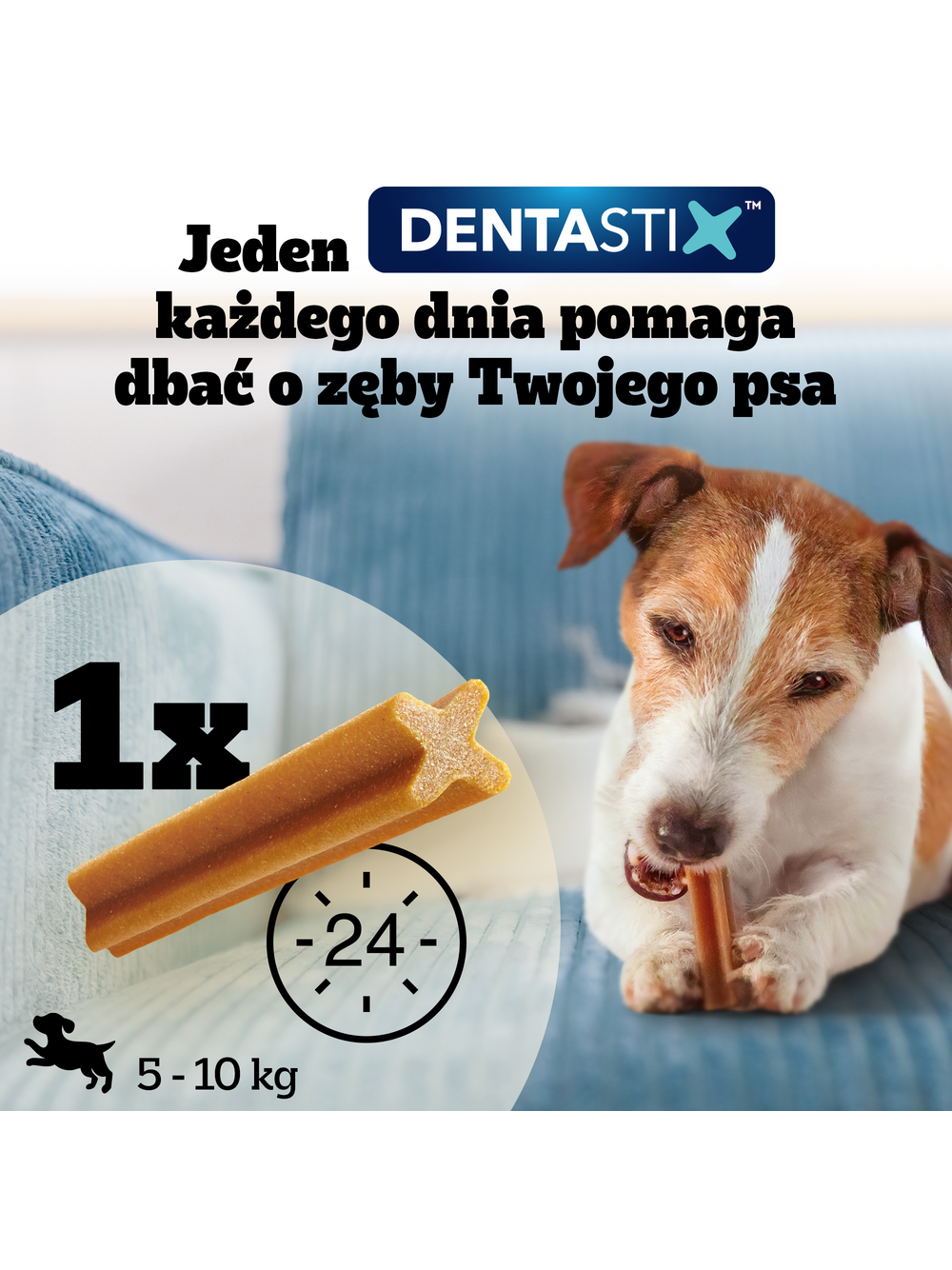 PEDIGREE Dentastix przysmaki dentystyczne dla psa małe rasy 2x56 szt