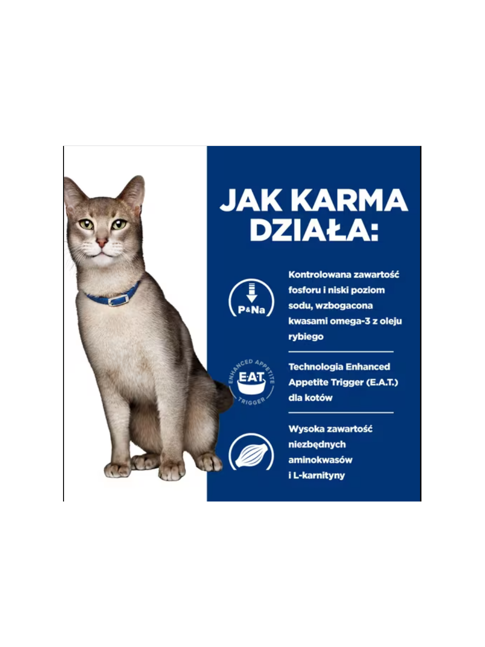 HILL'S PD Prescription Diet Feline k/d Kidney Care Wołowina 6x85g - saszetka