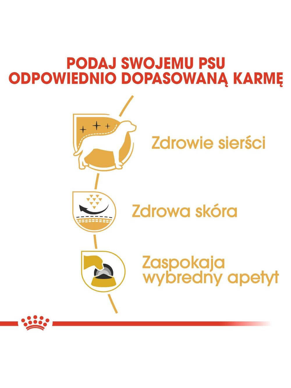 ROYAL CANIN West Highland White Terrier Adult 3kg karma sucha dla psów dorosłych rasy west highland white terrier