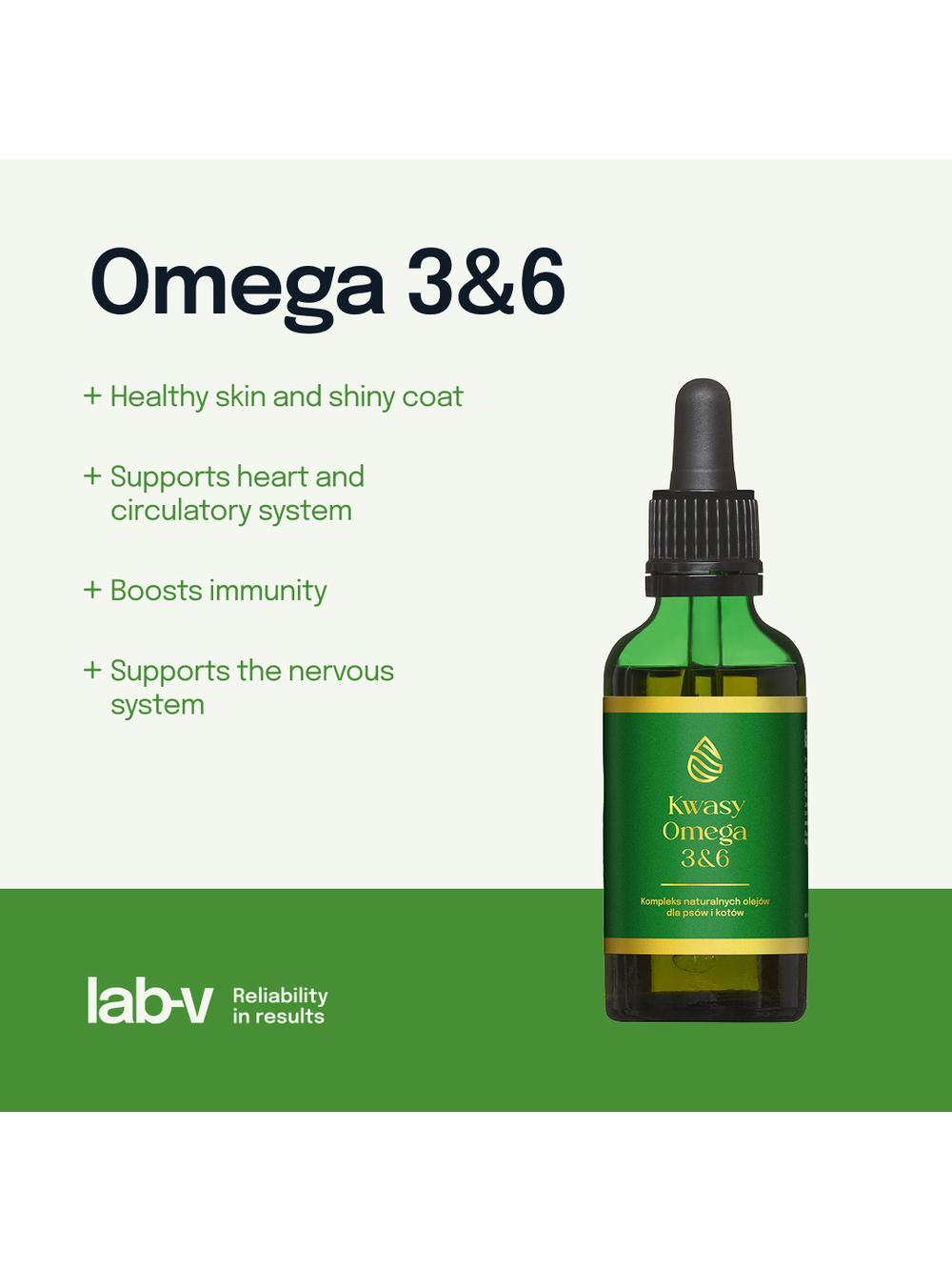 Lab-v Kwasy Tłuszczowe Omega 3 i 6 stosowane na ogólną poprawę stanu zdrowia oraz sierści i skóry dla psów i kotów 50ml
