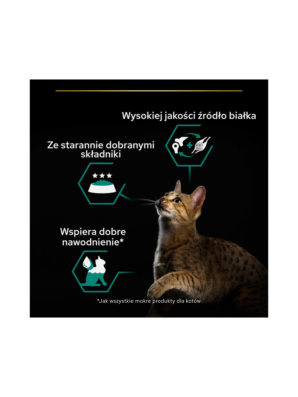 PRO PLAN Adult Wilgotny pasztet z kurczakiem Mokra karma dla kota 85g