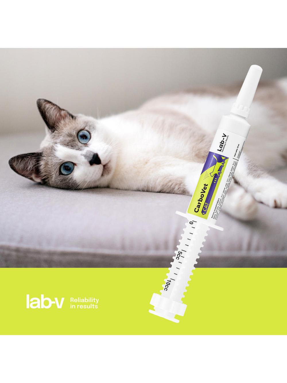Lab-v CarboVet Cat - Preparat o właściwościach odtruwających dla kotów 10 ml