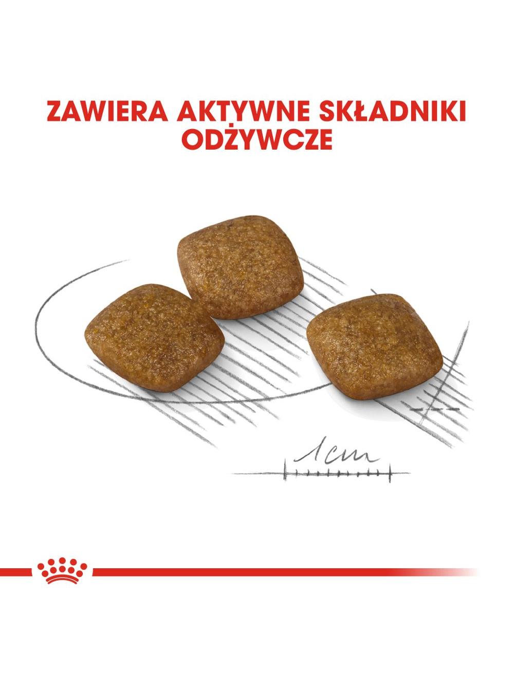 ROYAL CANIN CCN Mini Relax Care 8kg + niespodzianka dla psa GRATIS!