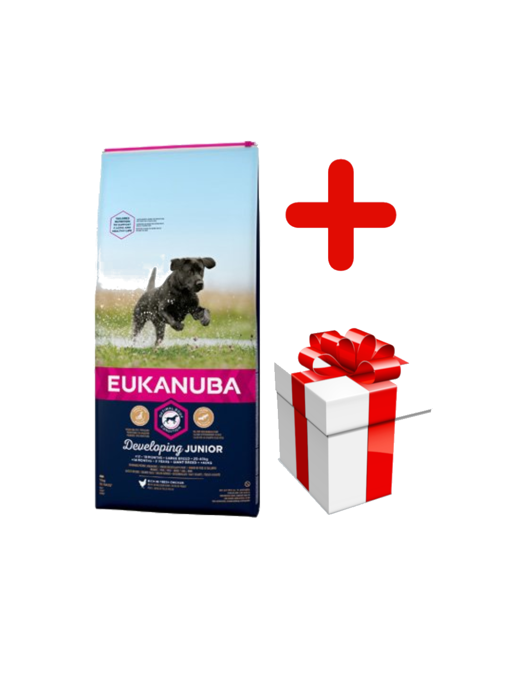 EUKANUBA Junior Large 15kg + niespodzianka dla psa GRATIS!