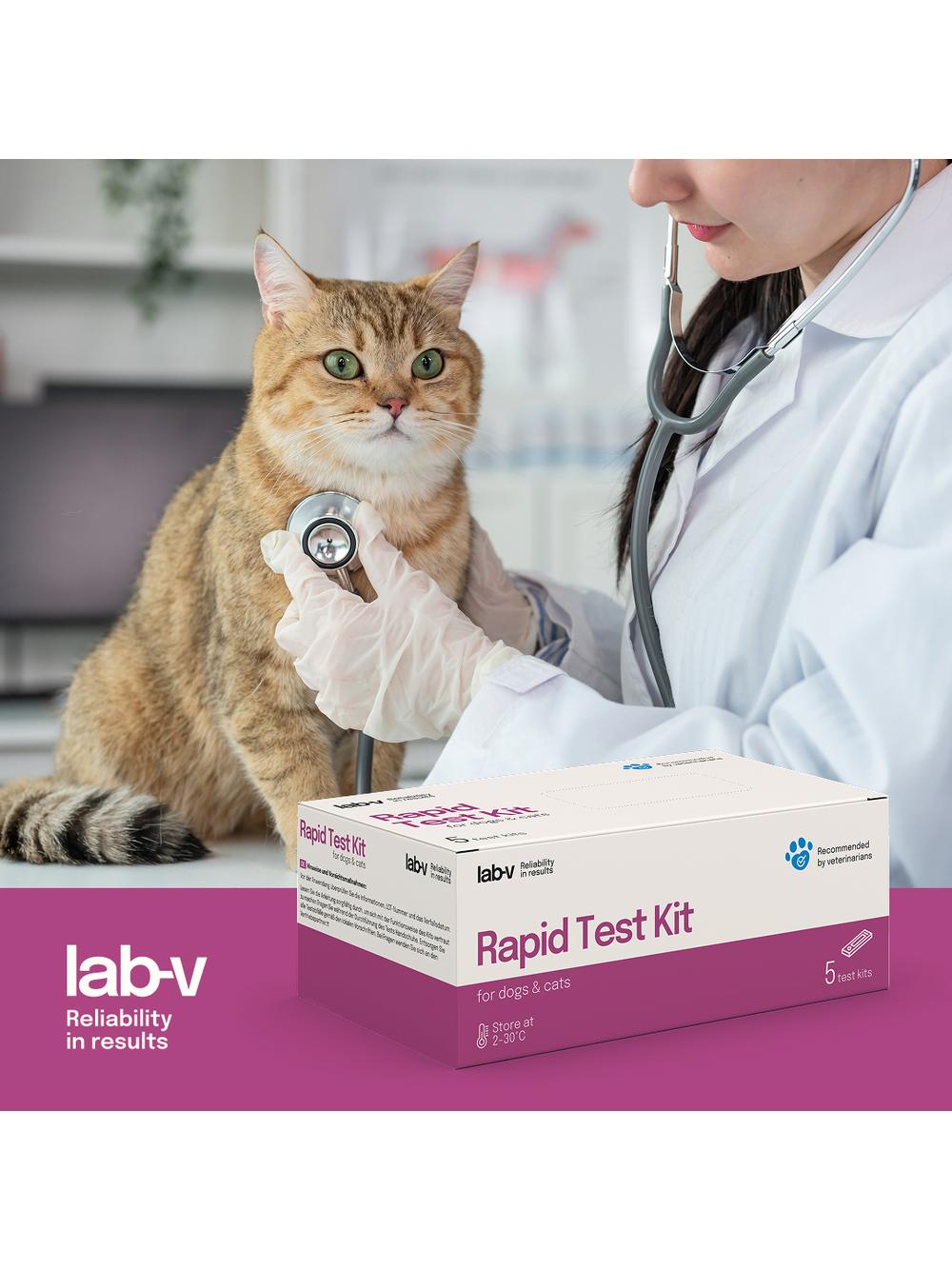 Lab-v Białaczka kotów FeLV Ag Szybki Test