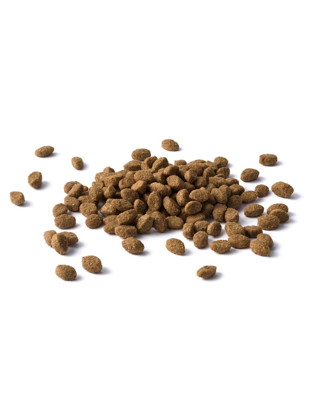 PURINA Cat Chow Sterilised Karma bogata w kurczaka 1,5kg