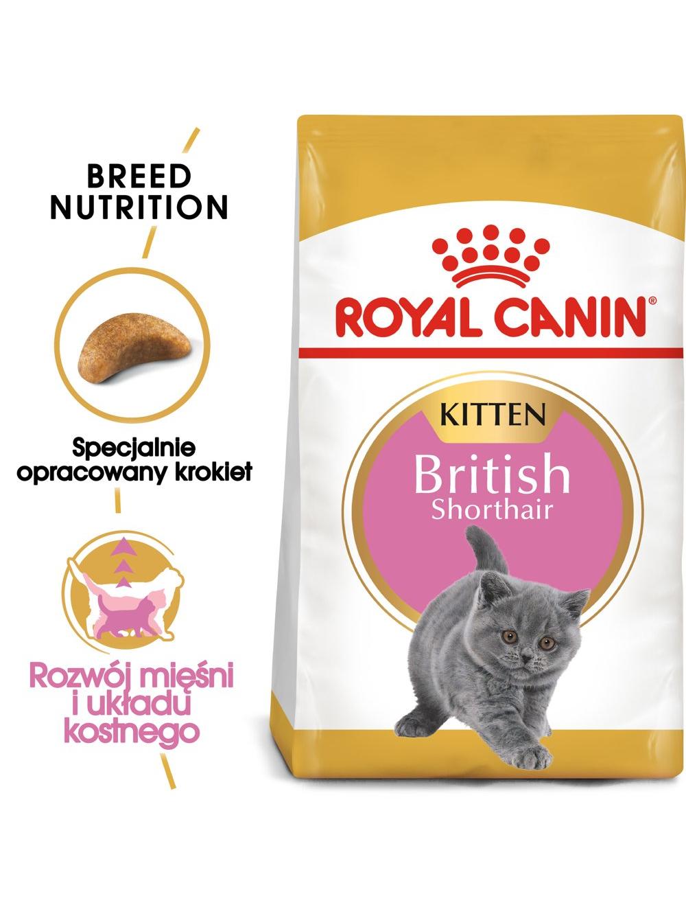 ROYAL CANIN British Shorthair Kitten 2kg karma sucha dla kociąt, do 12 miesiąca, rasy brytyjski krótkowłosy