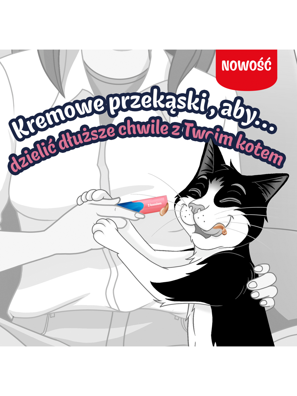 Felix Deli Moments Kremowe przekąski dla kotów z łososiem 4x(4x10g)