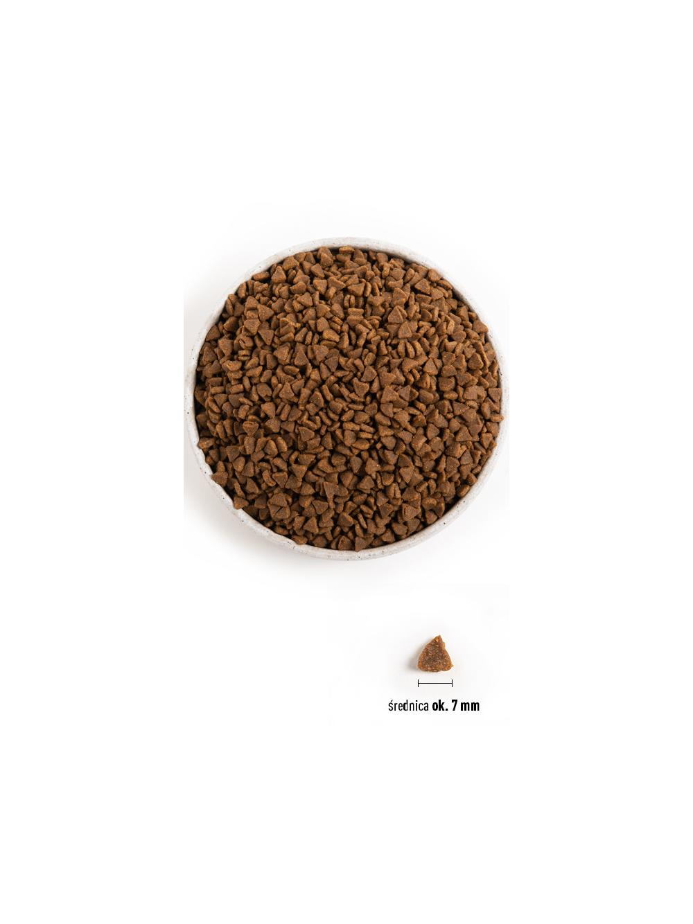 ACANA First Feast Cat 1,8kg + niespodzianka dla kota GRATIS!
